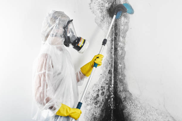 Best Commercial water damage restoration  in USA